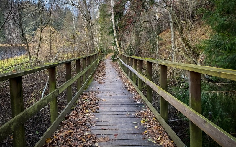 Älvpromenaden bro med höstlöv