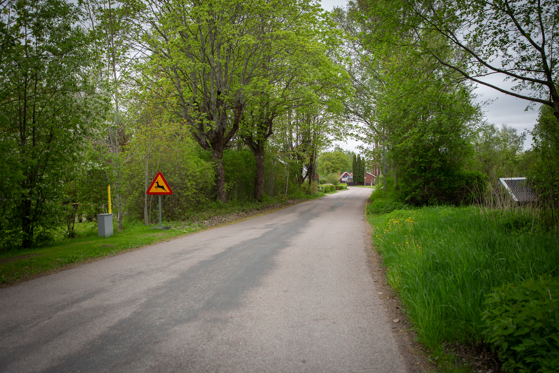Aktuell vägsträcka för projektet.