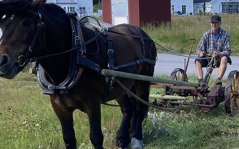 Magnus Jonsson från Kvarnbo, Österfärnebo med sin häst. 