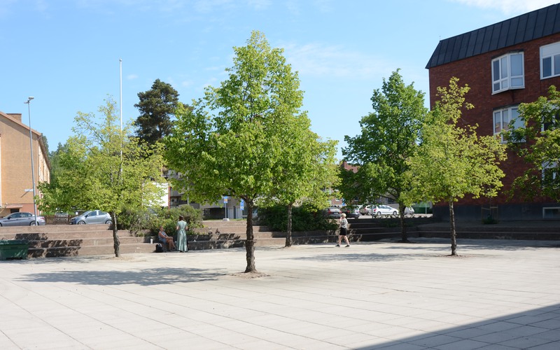 Skolan.