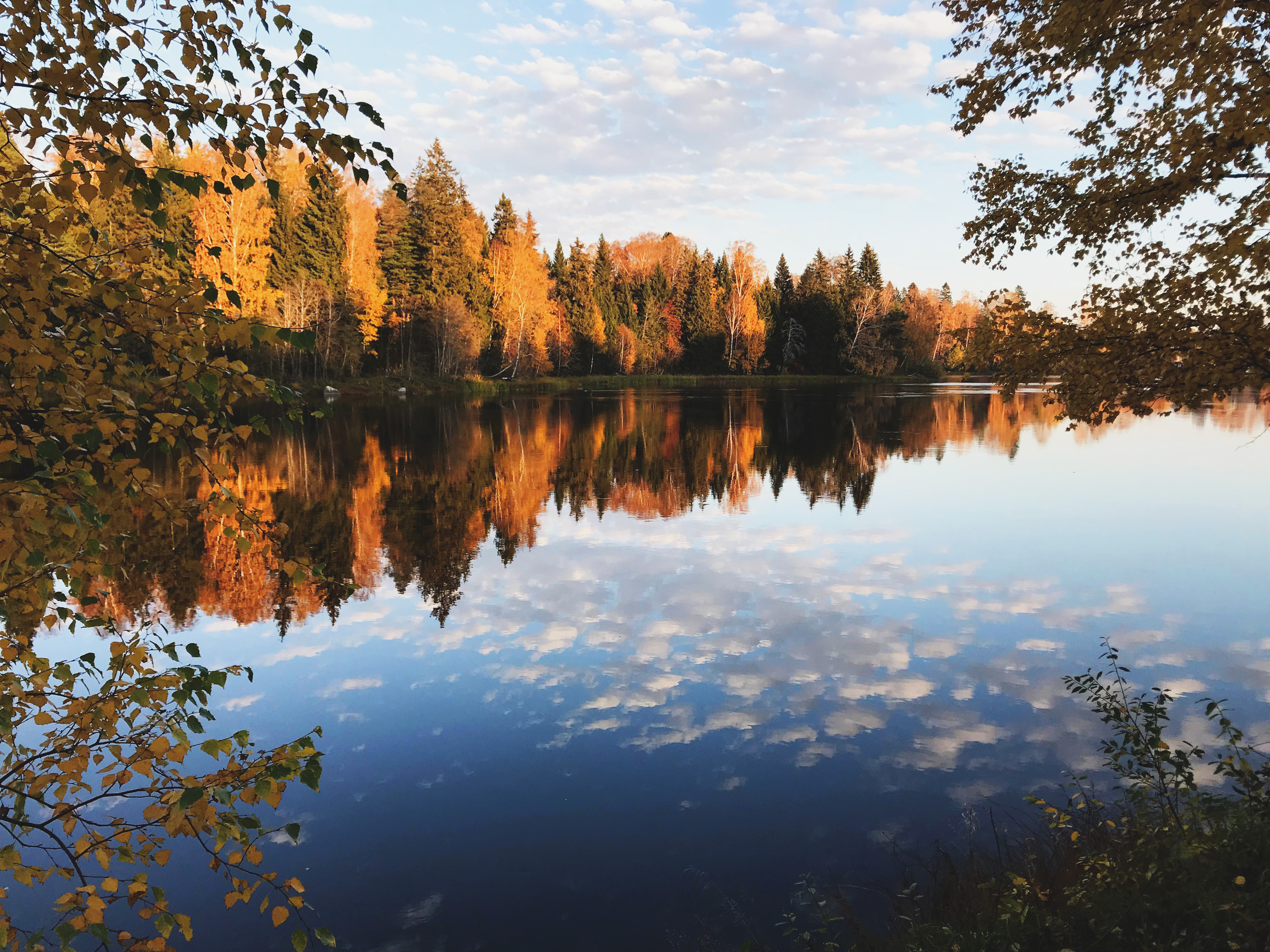 Älvpromenaden i höstskrud