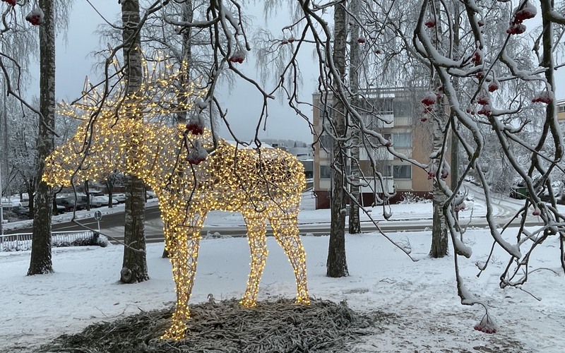 Älgen i Karlbergsparken