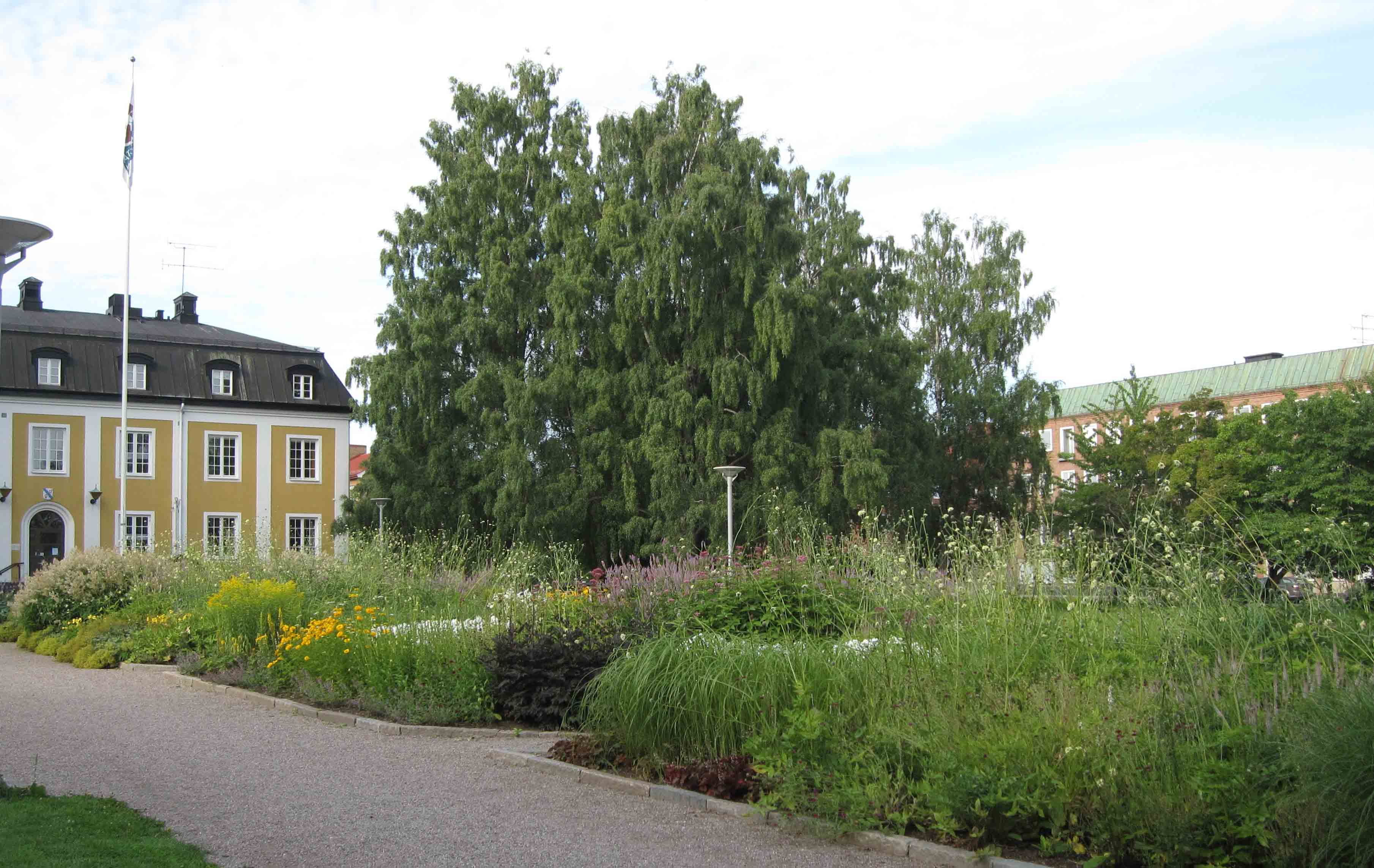 Bild över perennrabatten med stadshuset i bakgrunden