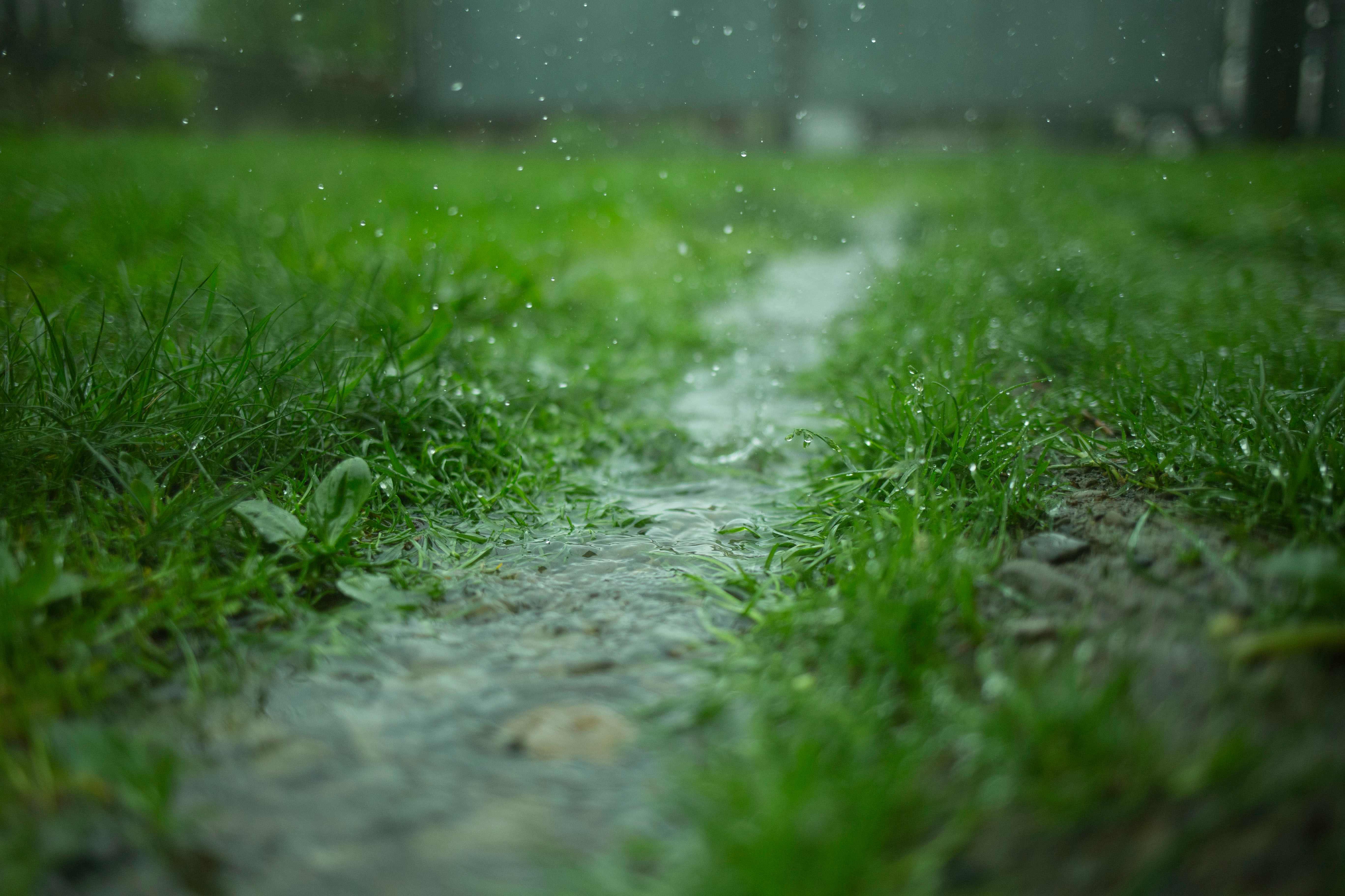 Regn.