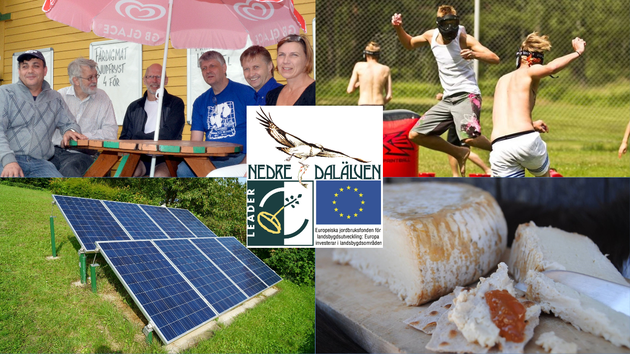 Leader paraplyprojekt