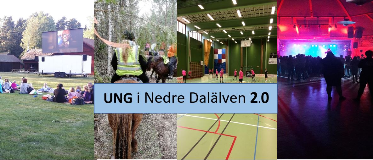 Bildcollage från tidigare projekt med UNG i Nedre Dalälven