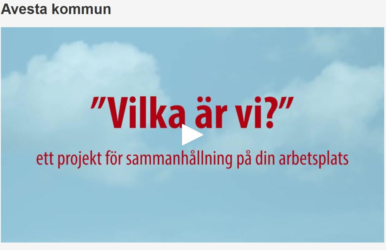 Vilka är vi? heter projektet som Avesta kommuns medarbetare gått igenom och som nu också Stora Enso anammat.