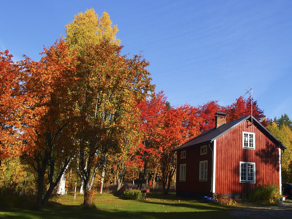 Röd stuga i höstmiljö