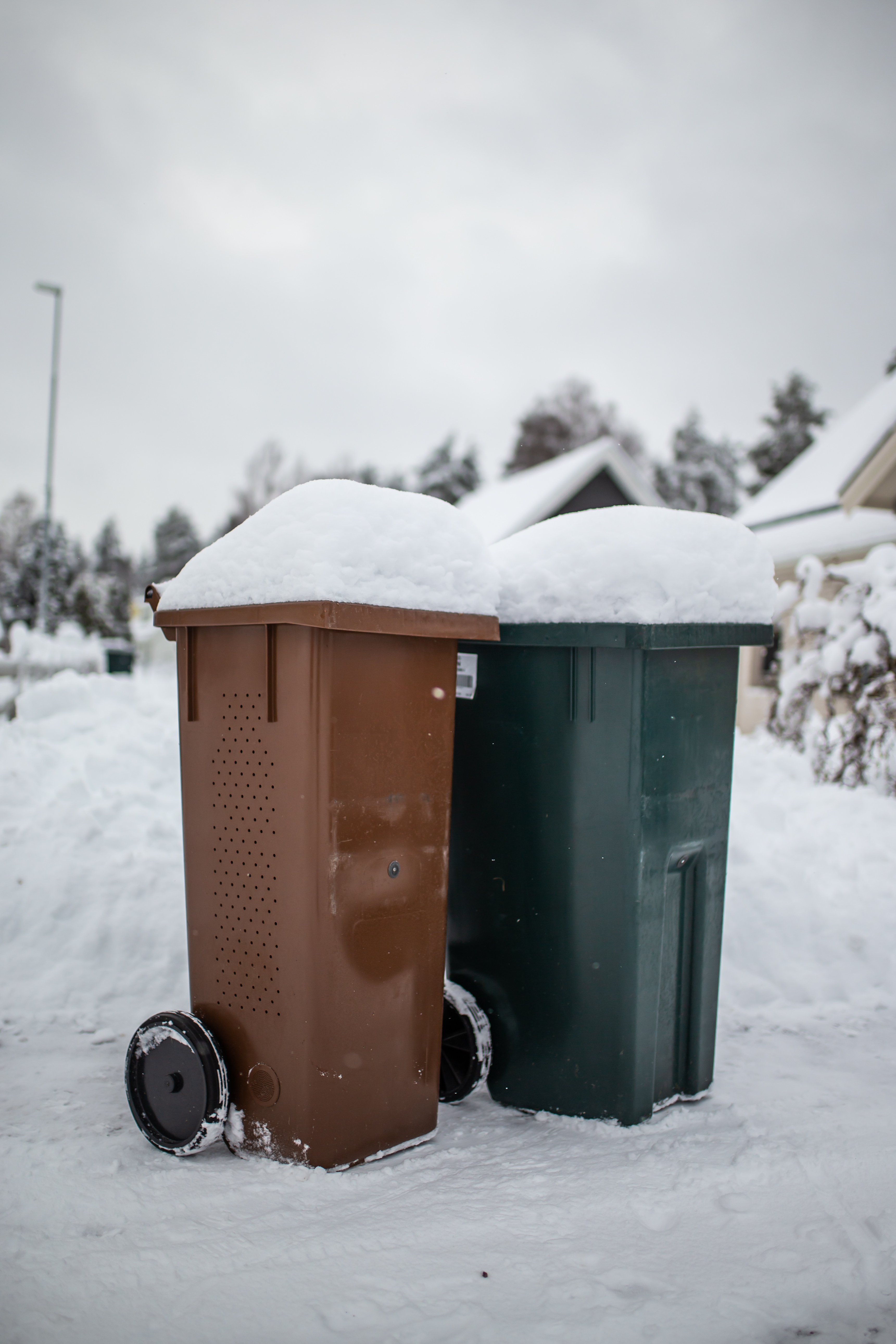 Avfallskärl med snö på locken