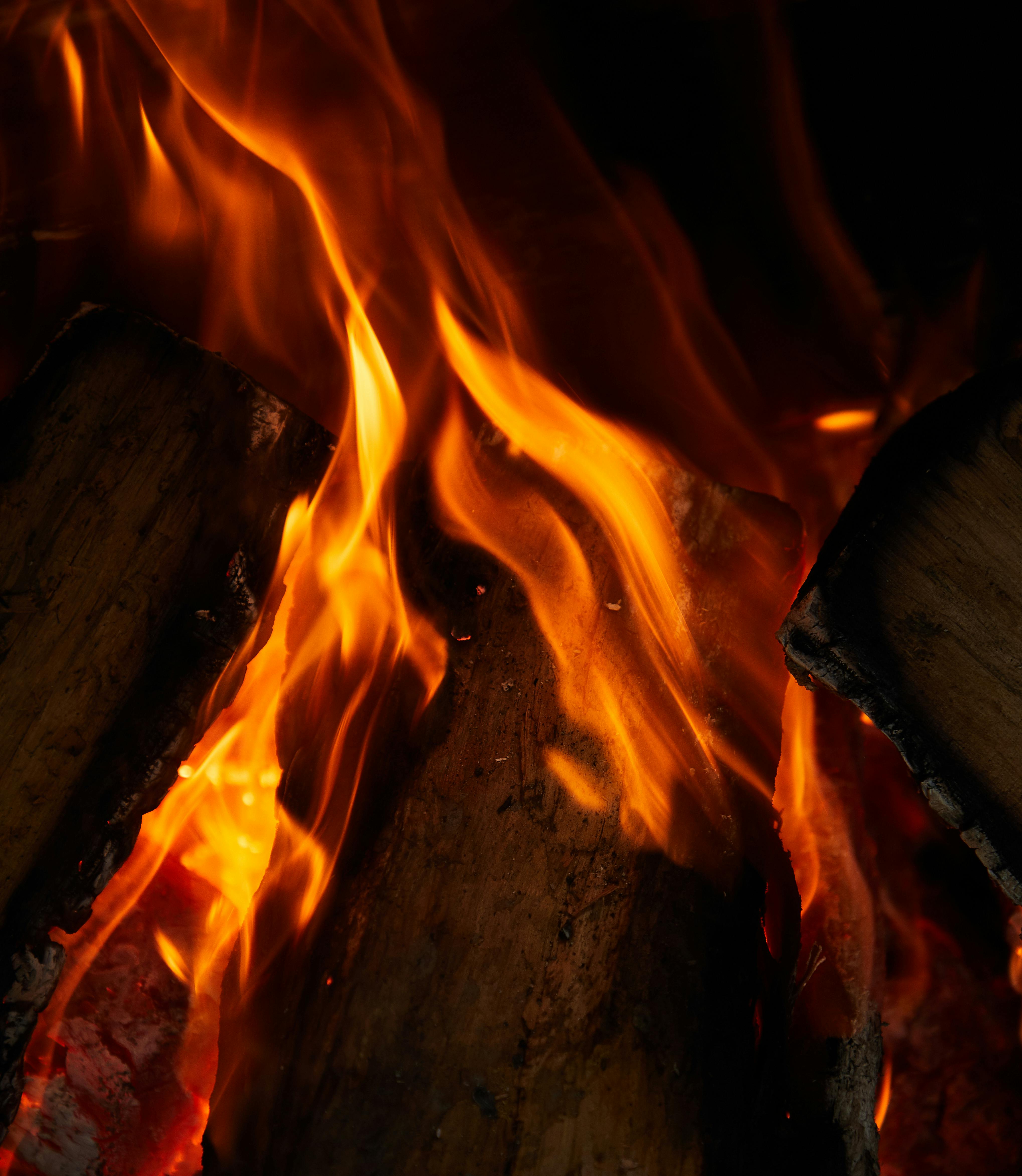 Brasa