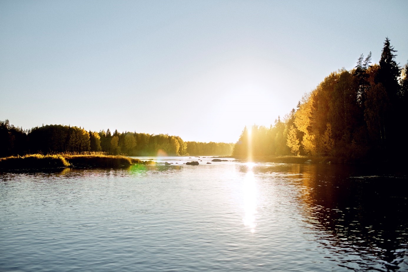 En sjö i motljus, omgiven av skog